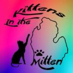 Kittens In The Mitten