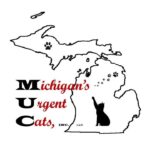 Michigan’s Urgent Cats